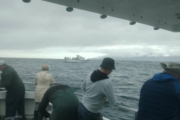 Angling_01 (1) group of people on board holding and preparing fishing rods